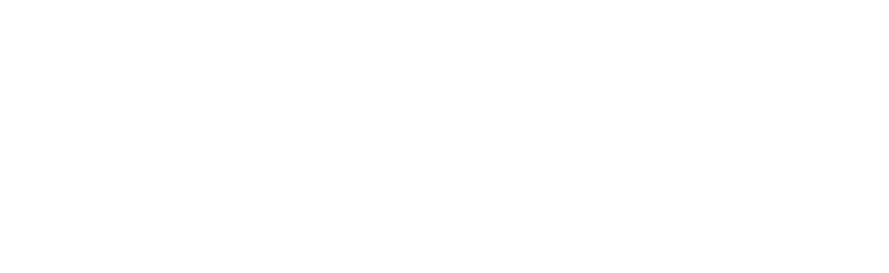 logo horizontal white800