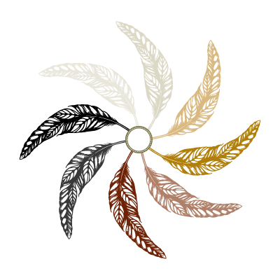 Medicine Wheel Wellness - holistic healthcare model