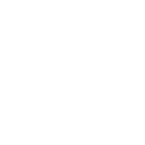 bison